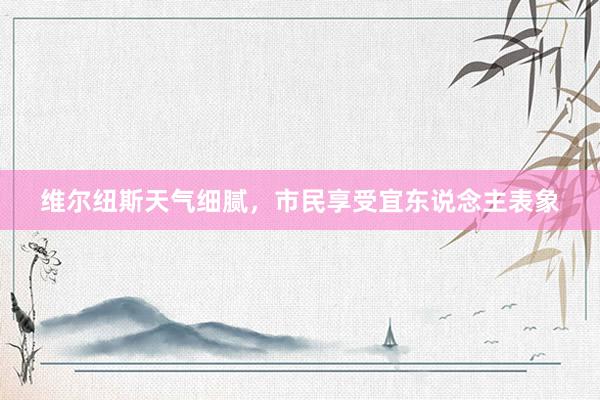 维尔纽斯天气细腻，市民享受宜东说念主表象